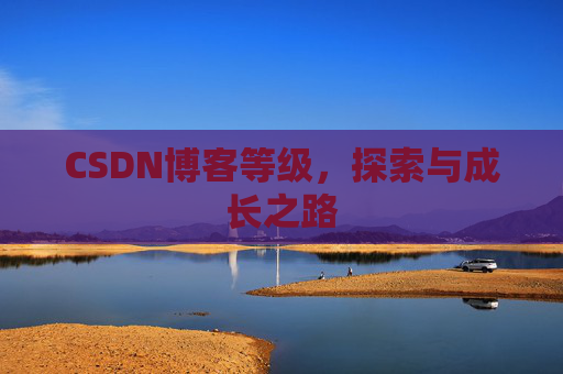 CSDN博客等级，探索与成长之路